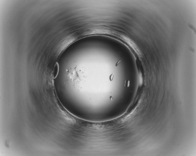 X0000099441241200805091305