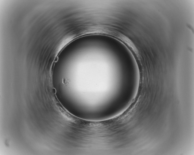 X0000099441242200805091305