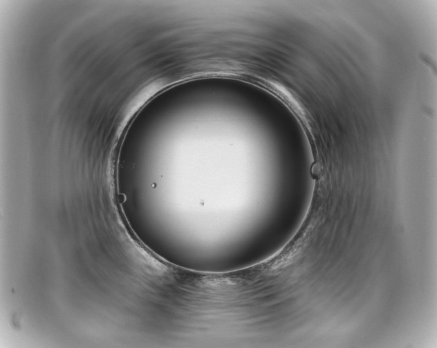 X0000099441243200805091305