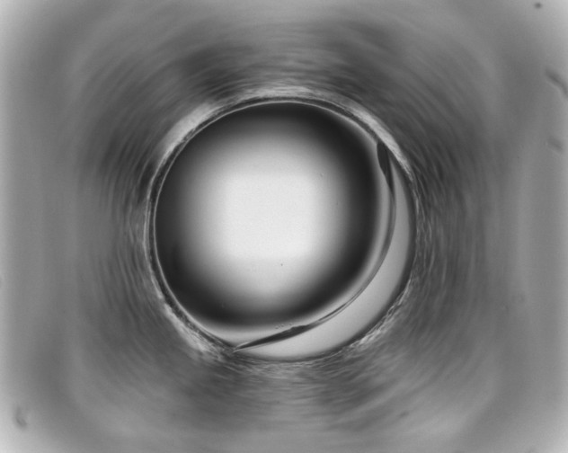 X0000099441245200805091305