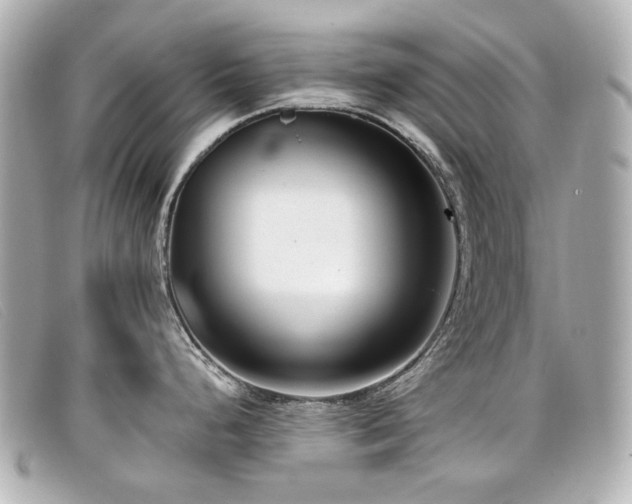 X0000099441248200805091305