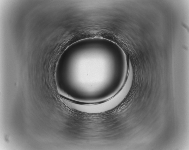 X0000099441249200805091305