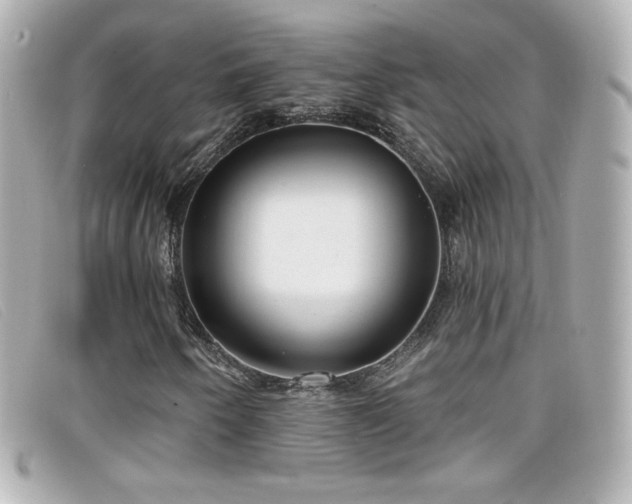 X0000099441250200805091304