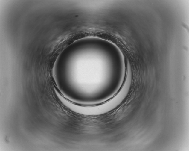 X0000099441253200805091304
