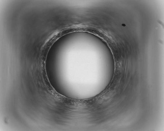 X0000099441254200805091304