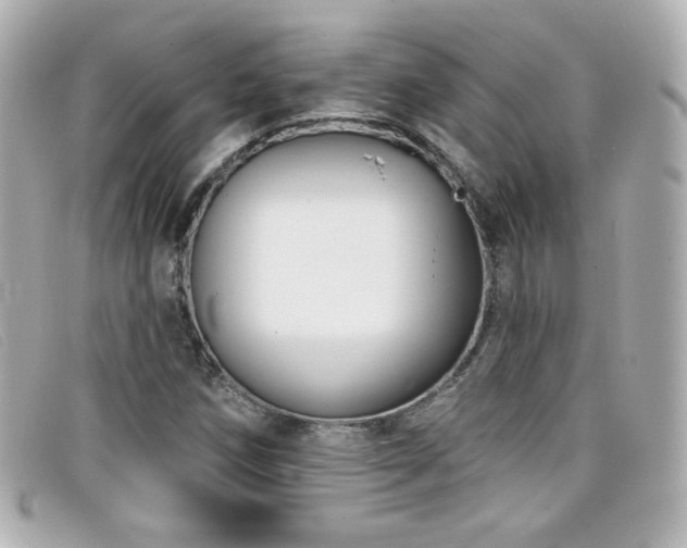 X0000099441258200805091304
