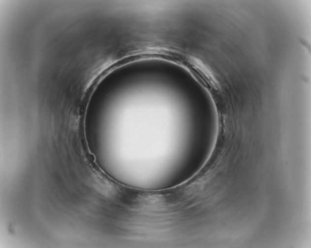 X0000099441260200805091304