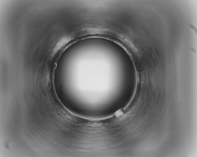 X0000099441261200805091304