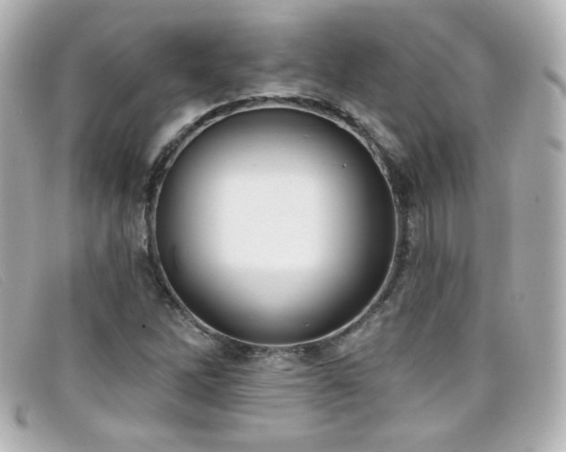X0000099441262200805091304