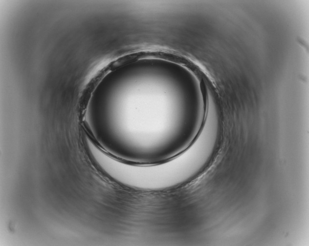 X0000099441263200805091304