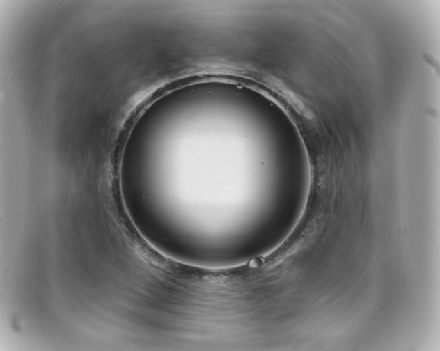 X0000099441264200805091304