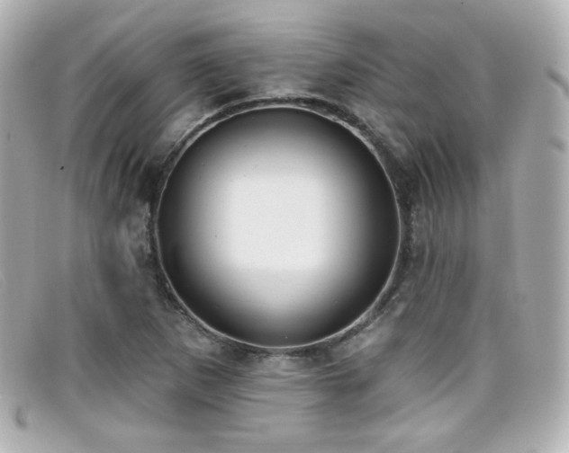 X0000099441265200805091304
