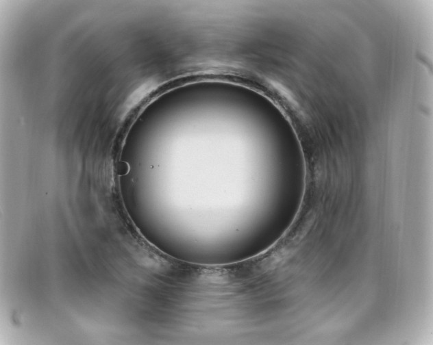 X0000099441267200805091304