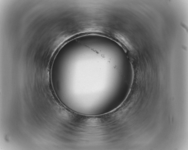 X0000099441268200805091304