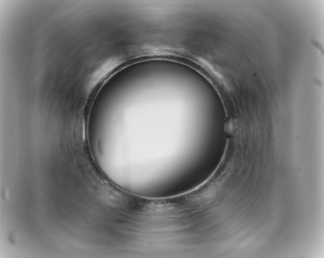 X0000099441269200805091304