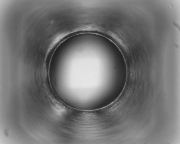 X0000099441270200805091304