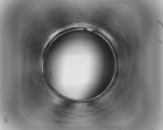 X0000099441272200805091304