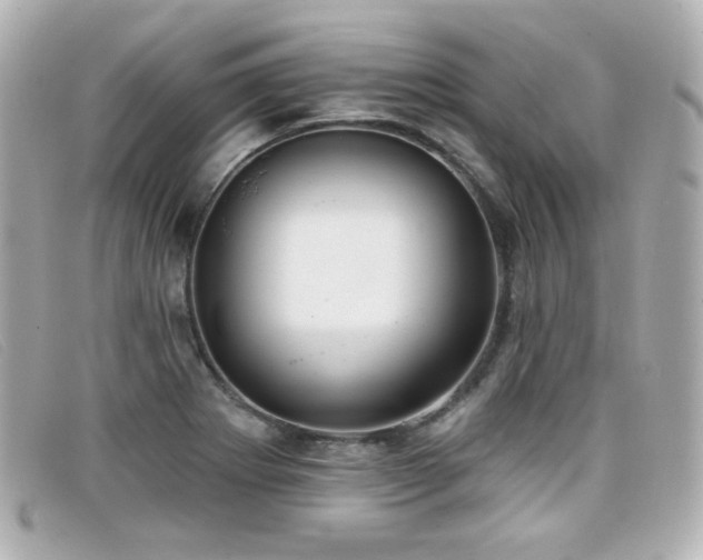 X0000099441273200805091304
