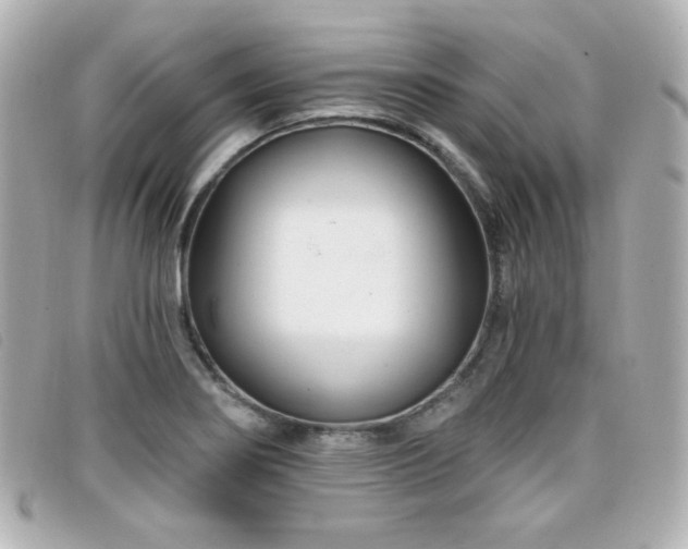 X0000099441274200805091304
