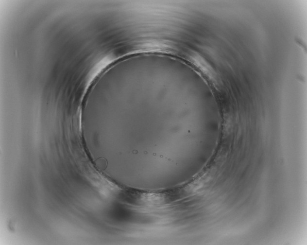 X0000099441275200805091304