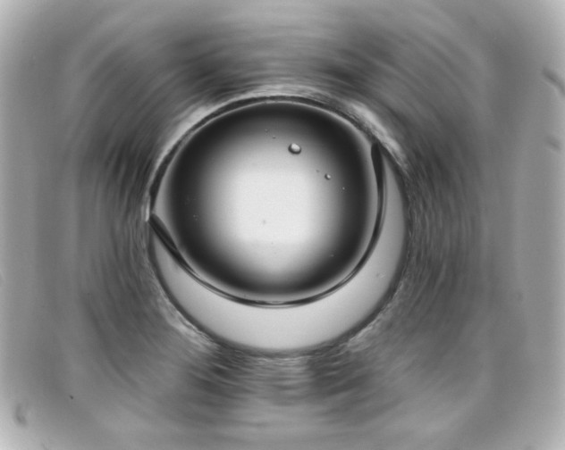 X0000099441276200805091304