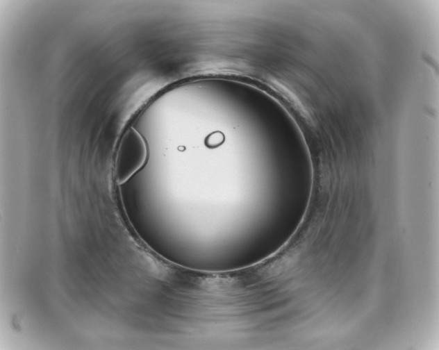 X0000099441277200805091304