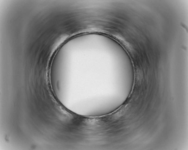 X0000099441278200805091304