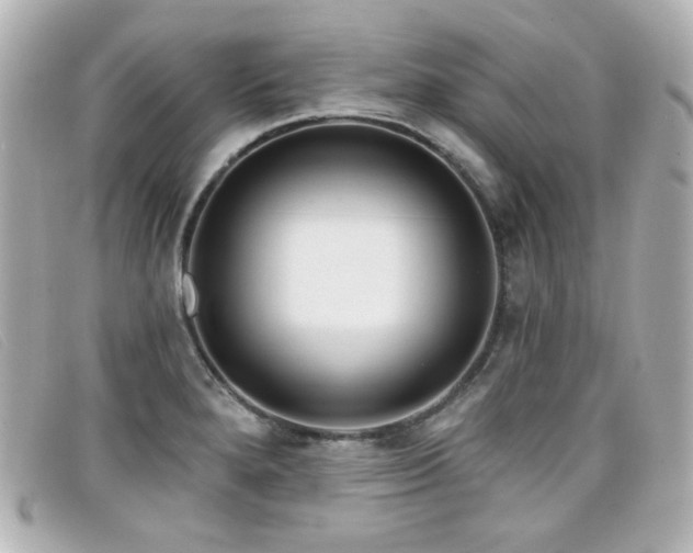 X0000099441280200805091304