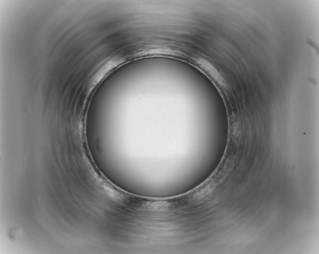 X0000099441282200805091304
