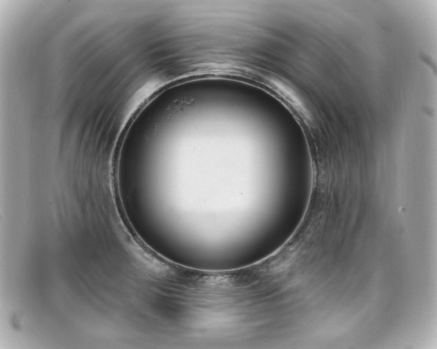X0000099441283200805091304