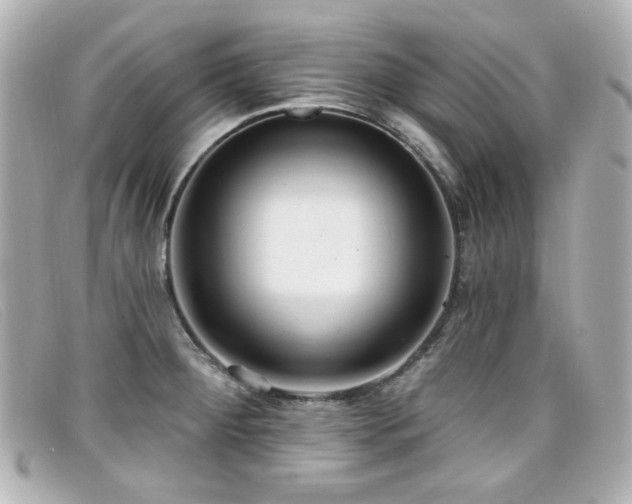 X0000099441284200805091304