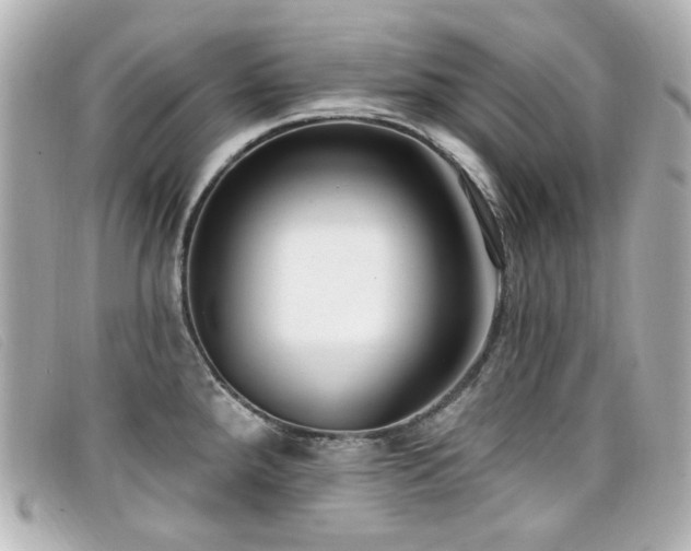 X0000099441288200805091304