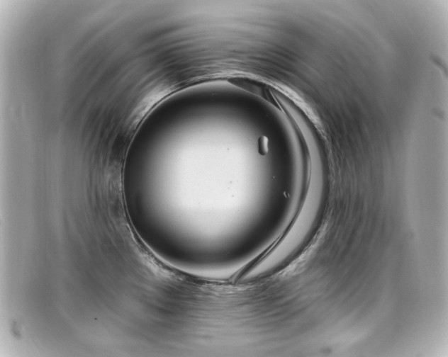 X0000099441289200805091304