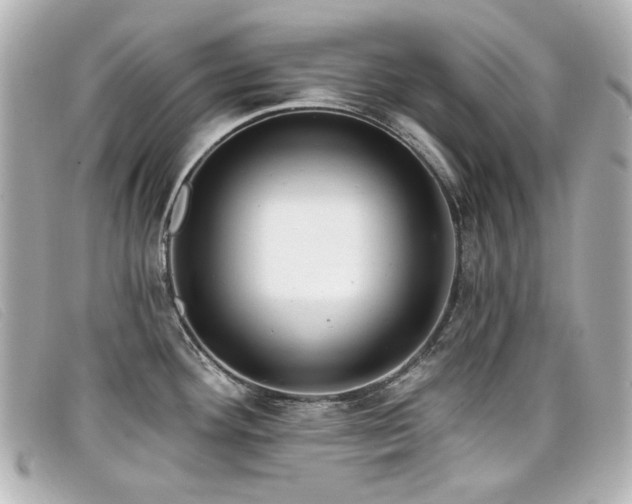 X0000099441292200805091304