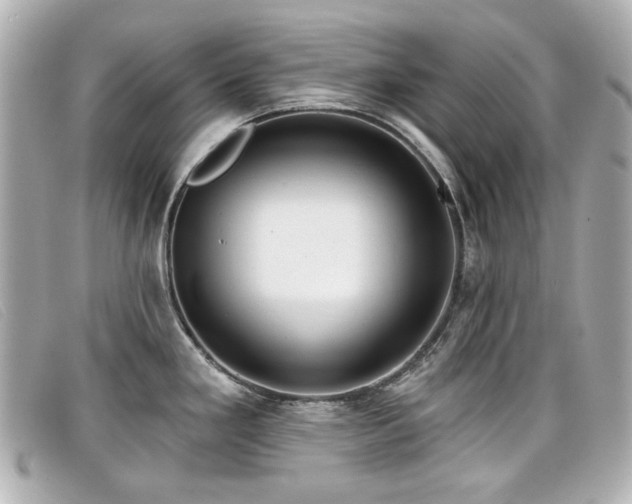 X0000099441293200805091304