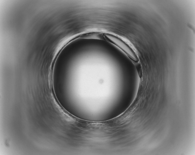 X0000099441295200805091304
