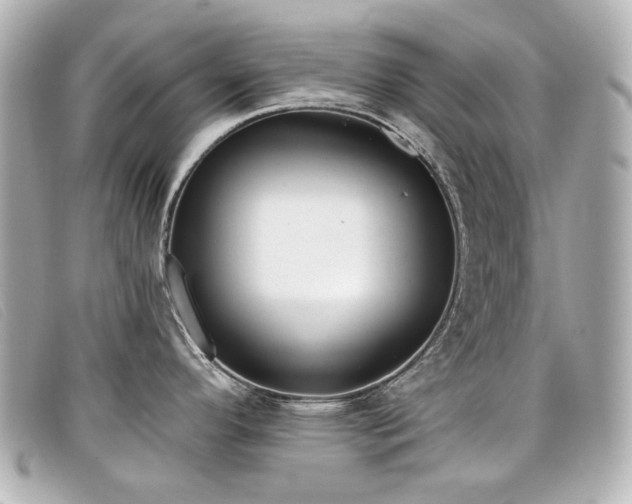 X0000099441296200805091304