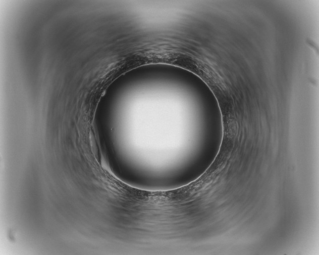 X0000099441297200805091303