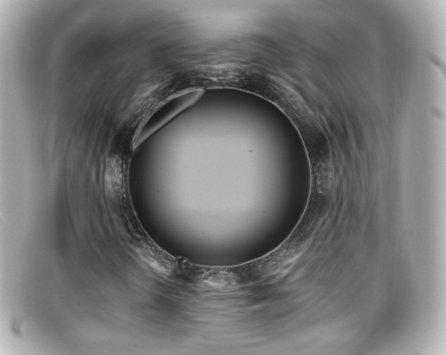X0000099441298200805091303