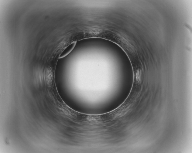X0000099441299200805091303
