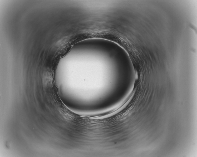 X0000099441300200805091303