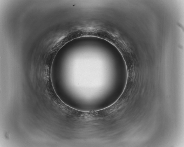 X0000099441301200805091303
