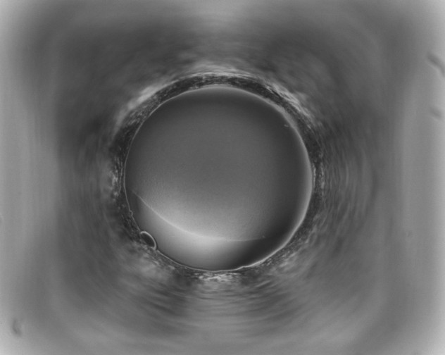 X0000099441303200805091303