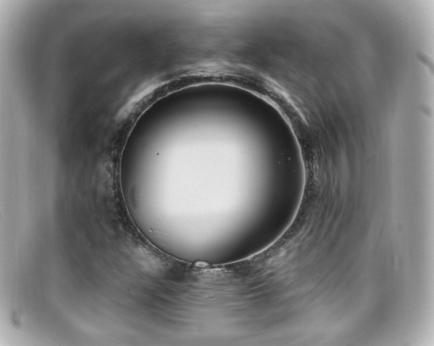 X0000099441304200805091303