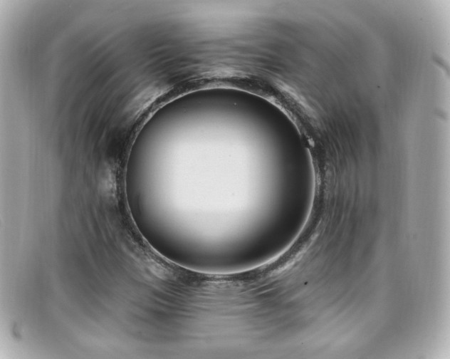 X0000099441305200805091303