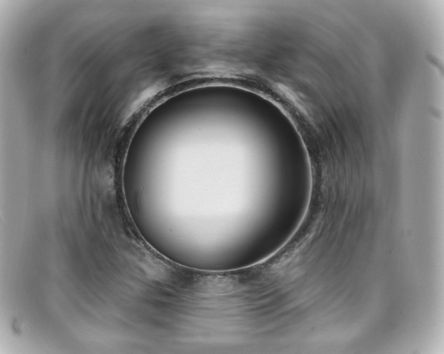 X0000099441307200805091303