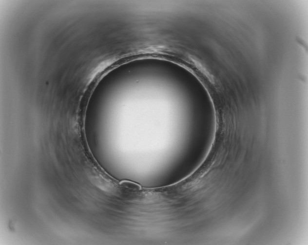 X0000099441308200805091303