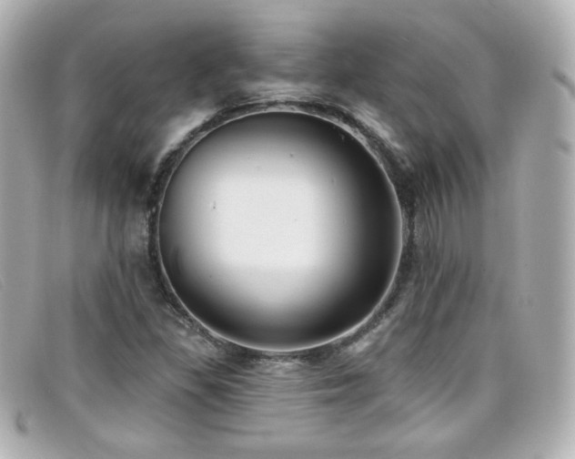 X0000099441309200805091303