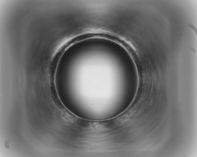 X0000099441311200805091303