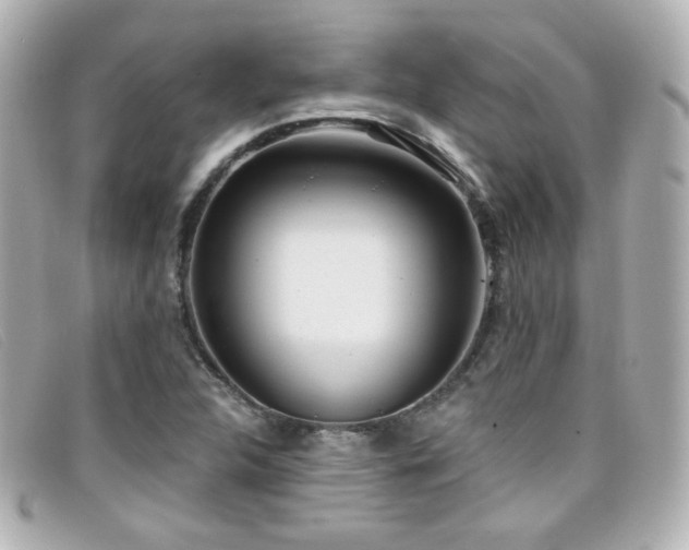 X0000099441312200805091303